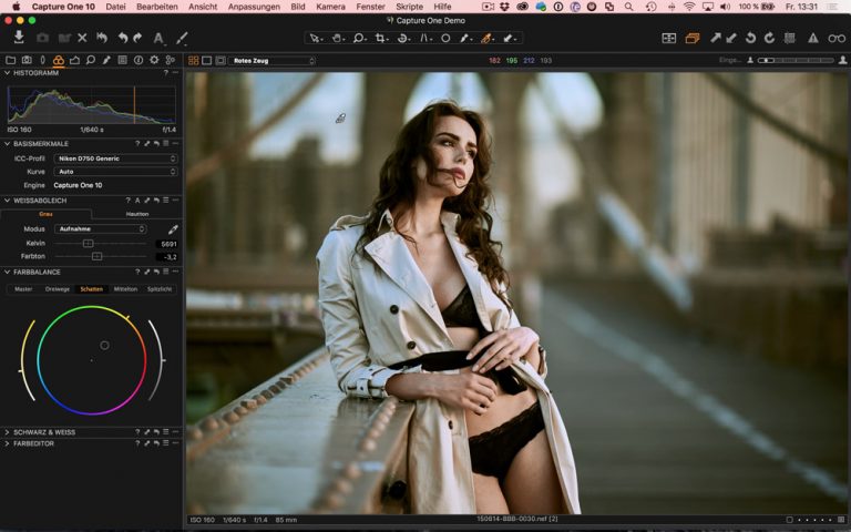 Capture One Styles Download